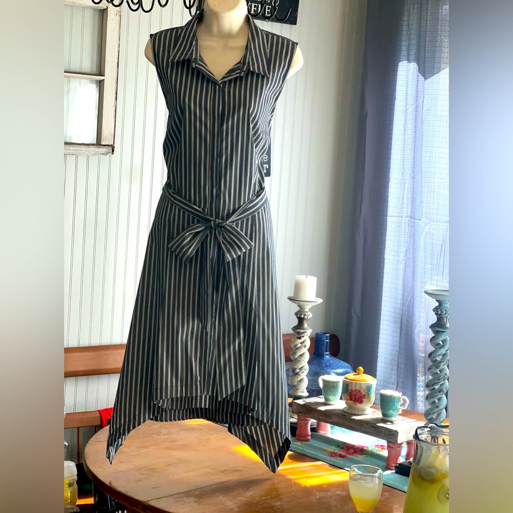 Button up striped dress with sash belt!